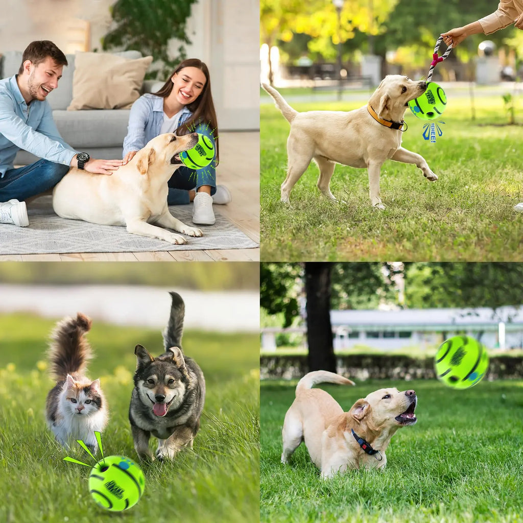 Indestructible Squeaky Dog Toy