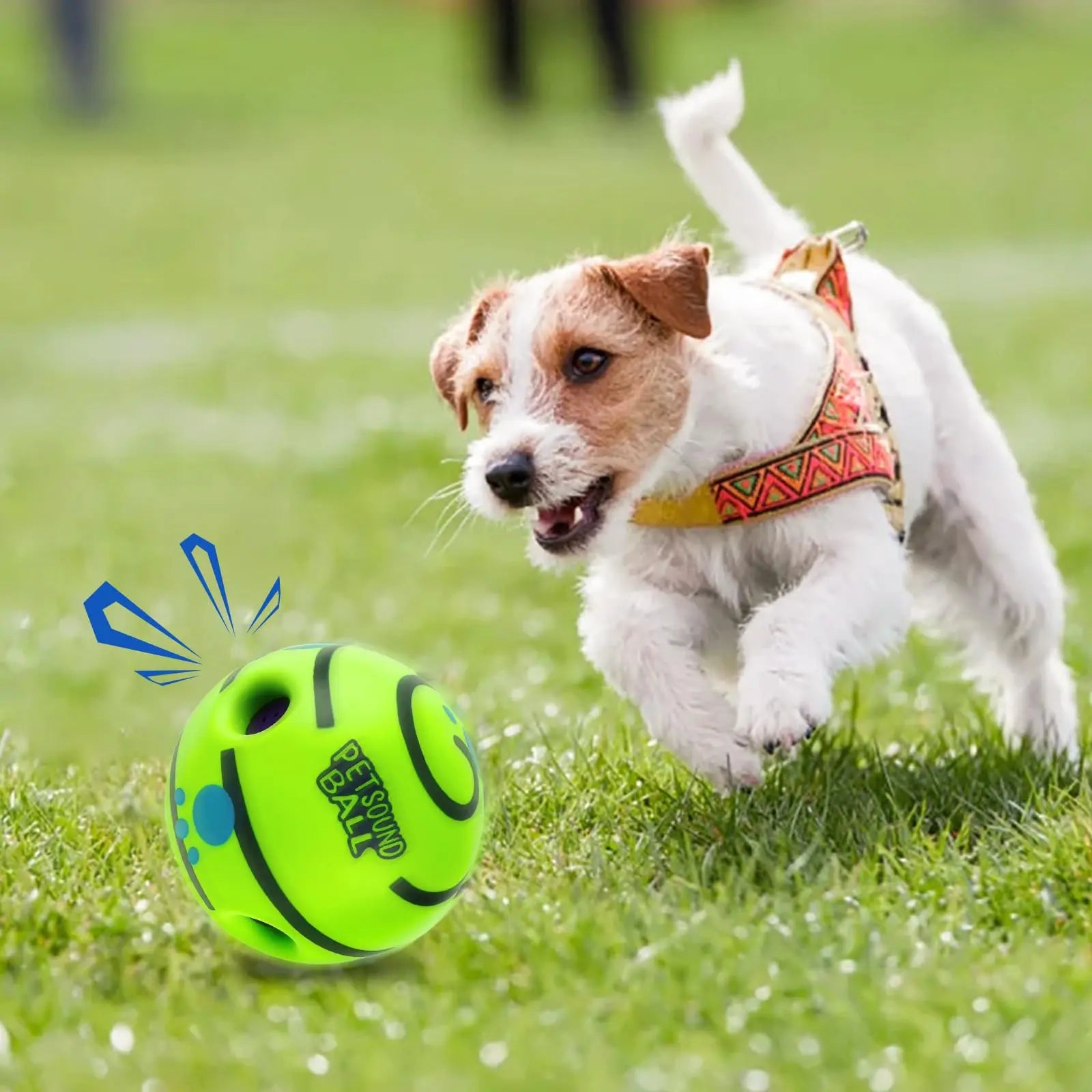 Indestructible Squeaky Dog Toy