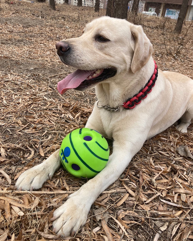 Pet toy ball, interactive dog toy, makes funny sounds when rolling or shaking, pets know best