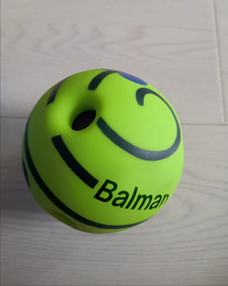 Pet toy ball, interactive dog toy, makes funny sounds when rolling or shaking, pets know best