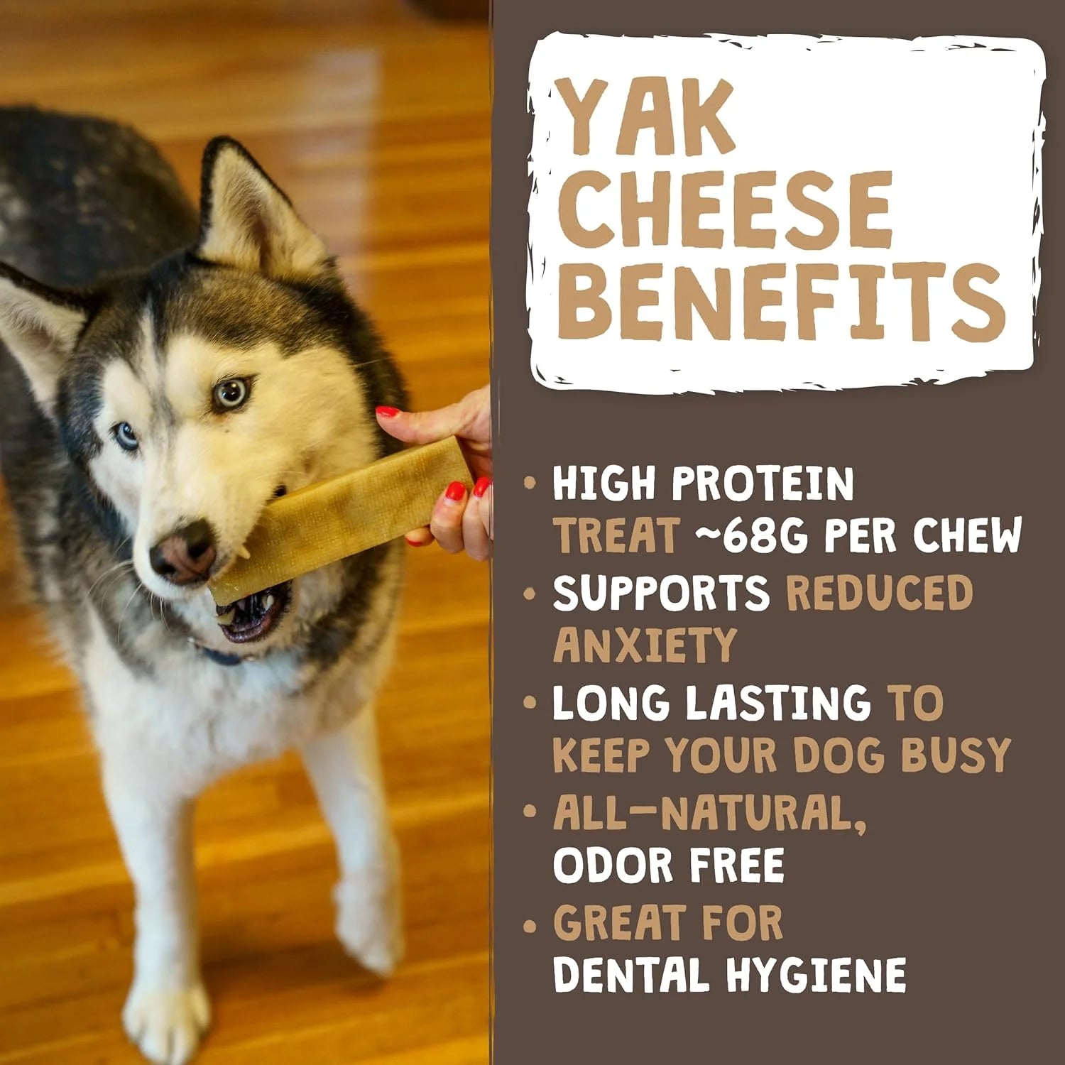 LASTING CHEWS FOR AGGRESSIVE CHEWERS