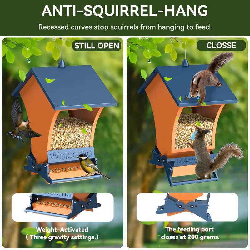 Squirrel-proof backyard feeders designed specifically for robins and chickadees