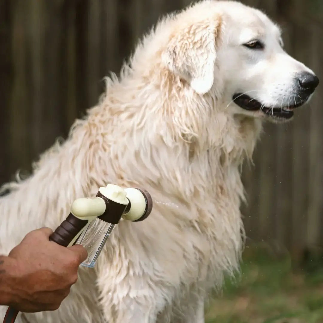 Pet foam water gun