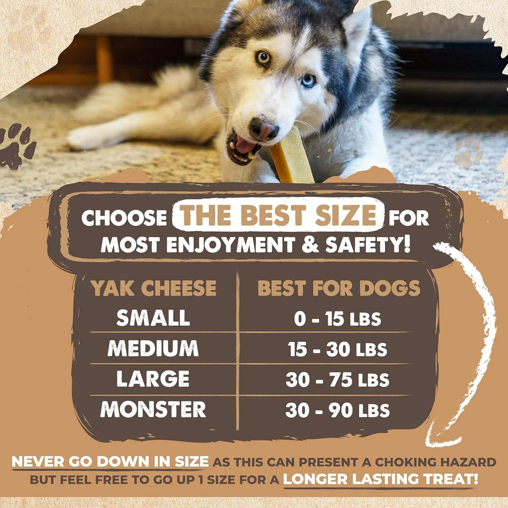 LASTING CHEWS FOR AGGRESSIVE CHEWERS