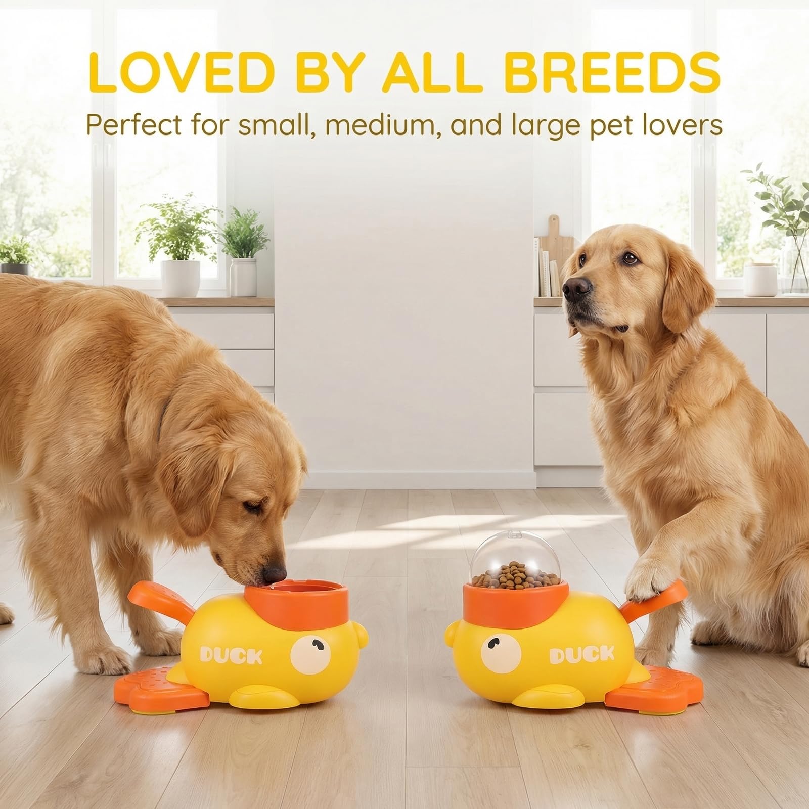 Little Yellow Duck Pet Feeder (Buy 1 Get 1 Free)