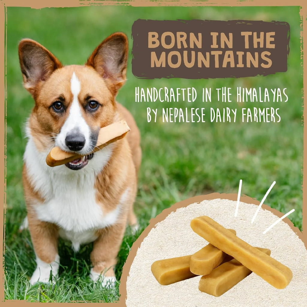 LASTING CHEWS FOR AGGRESSIVE CHEWERS