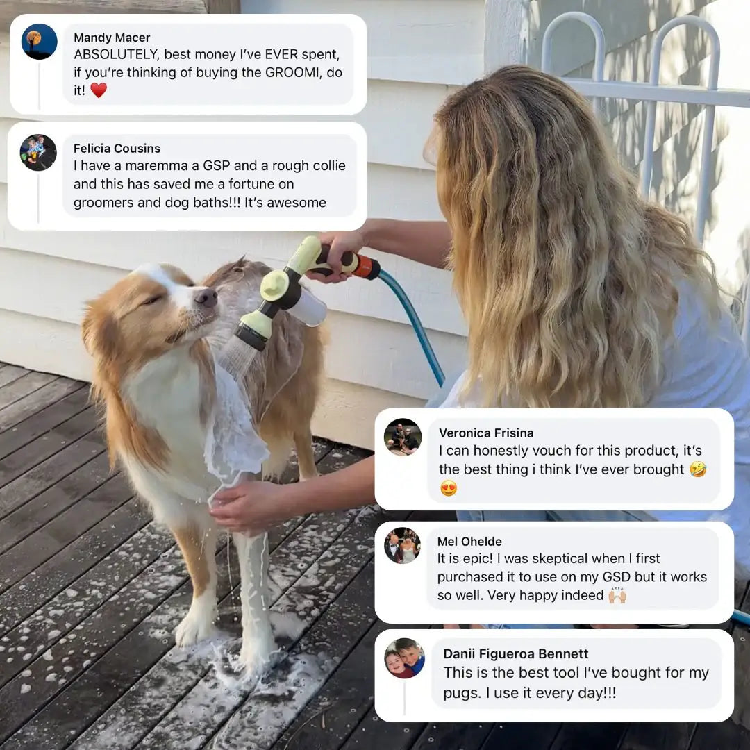 Pet foam water gun