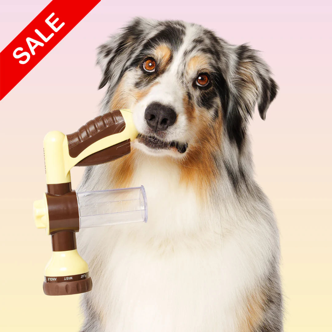 Pet foam water gun