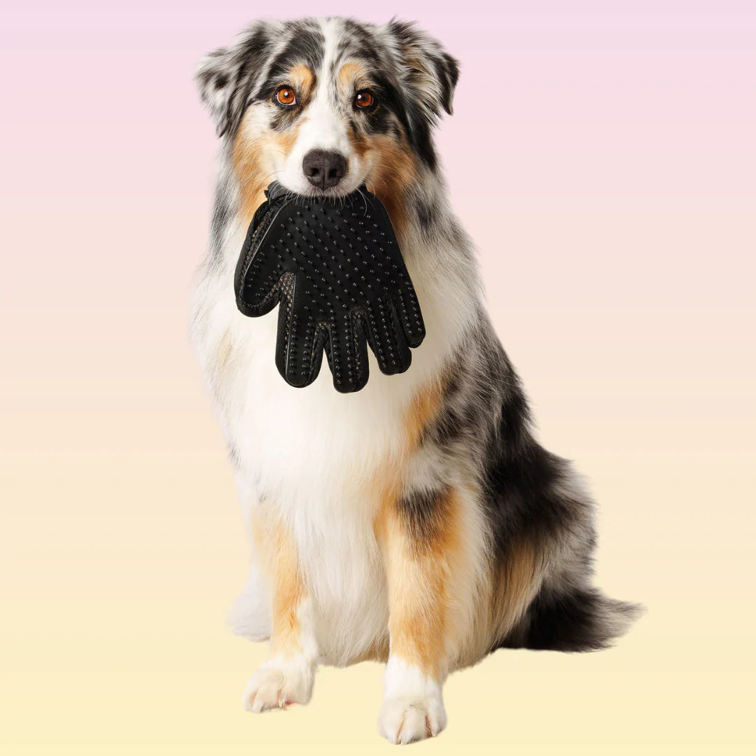 Scrub Gloves