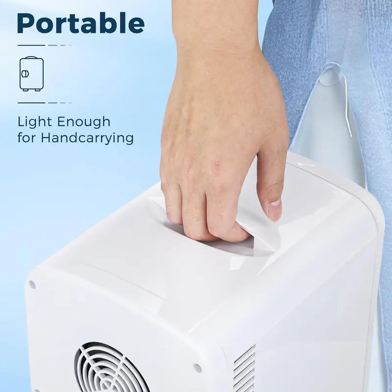 Portable Mini Makeup Fridge (with LED Mirror), 4-Liter/6-Can Capacity
